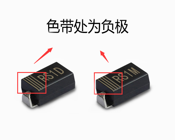 RS1D與RS1M正負極